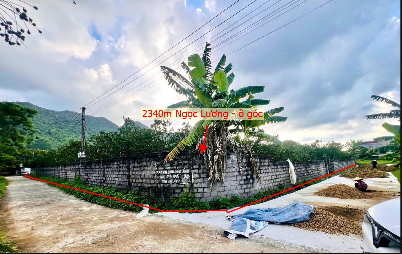 Hình ảnh Bán Lô Đất 2340m Tại Ngọc Lương Yên Thủy Bám Đường Bê Tông Ô Tô Vào Tận Đất Dân Cư Đông Đúc Thân Thiện View Núi Thoáng Mát Giá Đầu Tư